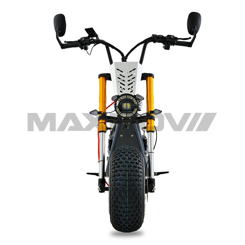 Erwachsene Citycoco Dual Motor EEC Elektroroller